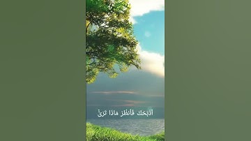 اية من سورة الصافات ꧂فلما بلغ معه سعي ༻ القارئ محمد حاضري