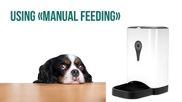 Manual Feeding | Automatic Pet Feeder by FEED