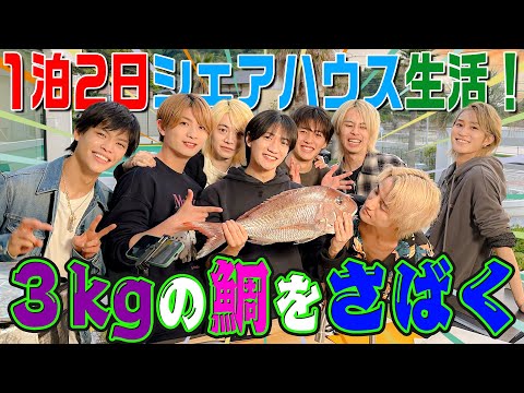 B&ZAI【シェアハウスで24時間共同生活~その4】3キロの鯛をさばく🐟!