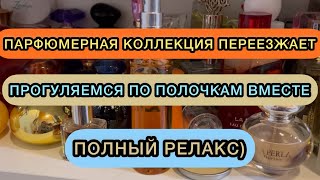 🔥 КОЛЛЕКЦИЯ ПАРФЮМЕРИИ | БЮДЖЕТНЫЕ И СЕТЕВЫЕ АРОМАТЫ | ПЕРЕЕЗД ПАРФЮМЕРИИ | ПАРФМАНЬЯК НА РЕЛАКСЕ😜