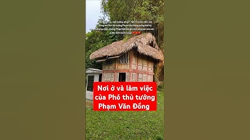 Đời đời nhớ ơn các vị tiền bối Cách mạng #tantraohaohung #yeunuoc #tuyenquang #xuhướng #lịchsử