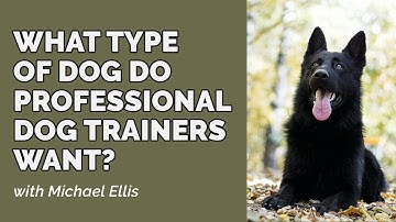 What Type of Dog Professional Dog Trainers Want - with Michael Ellis