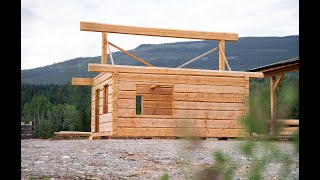 Build Your Own Dovetail Log Cabin - Online Course #cabinbuild #logcabin #offgrid #cabin #elearning