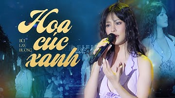 HOA CÚC XANH - BÙI LAN HƯƠNG live at #Lululola