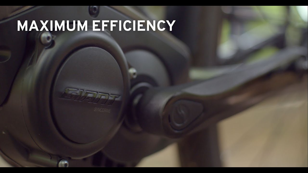 Giant Smart Assist technology explained 