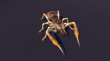Camel Spider Solifugae Monster, Rotary Idle Animation, Unity 3d Asset