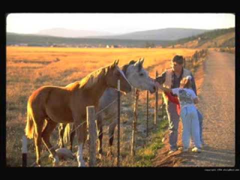 I LUV HORSES!! | Dreamy Country Song | \