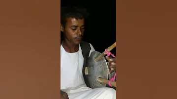 مجنون طنبور بس 