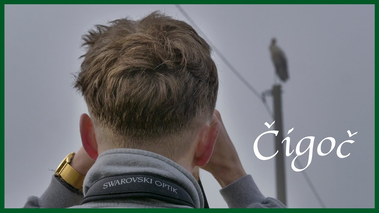 Čigoč: A Storkumentary | Swarovski Nature Explorer | White Storks in Croatia