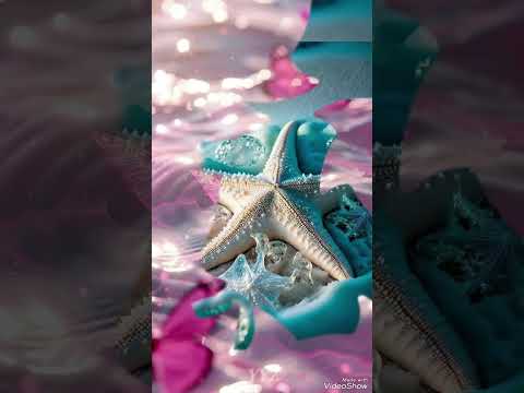 الدنيا ريشه في هوا  اكسبلور  تصميمي  تصميم فيديوهات دويتو