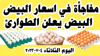 اسعار البيض اليوم سعر البيض اليوم الثلاثاء ٤-٧-٢٠٢٣ في المحلات في مصر