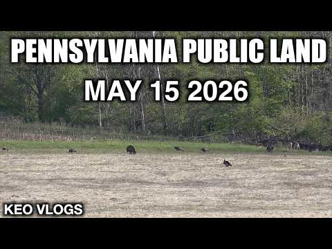 Running & Gunning Pennsylvania Game Lands Turkey Hunt