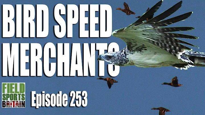 Fieldsports Britain - Bird Speed Merchants