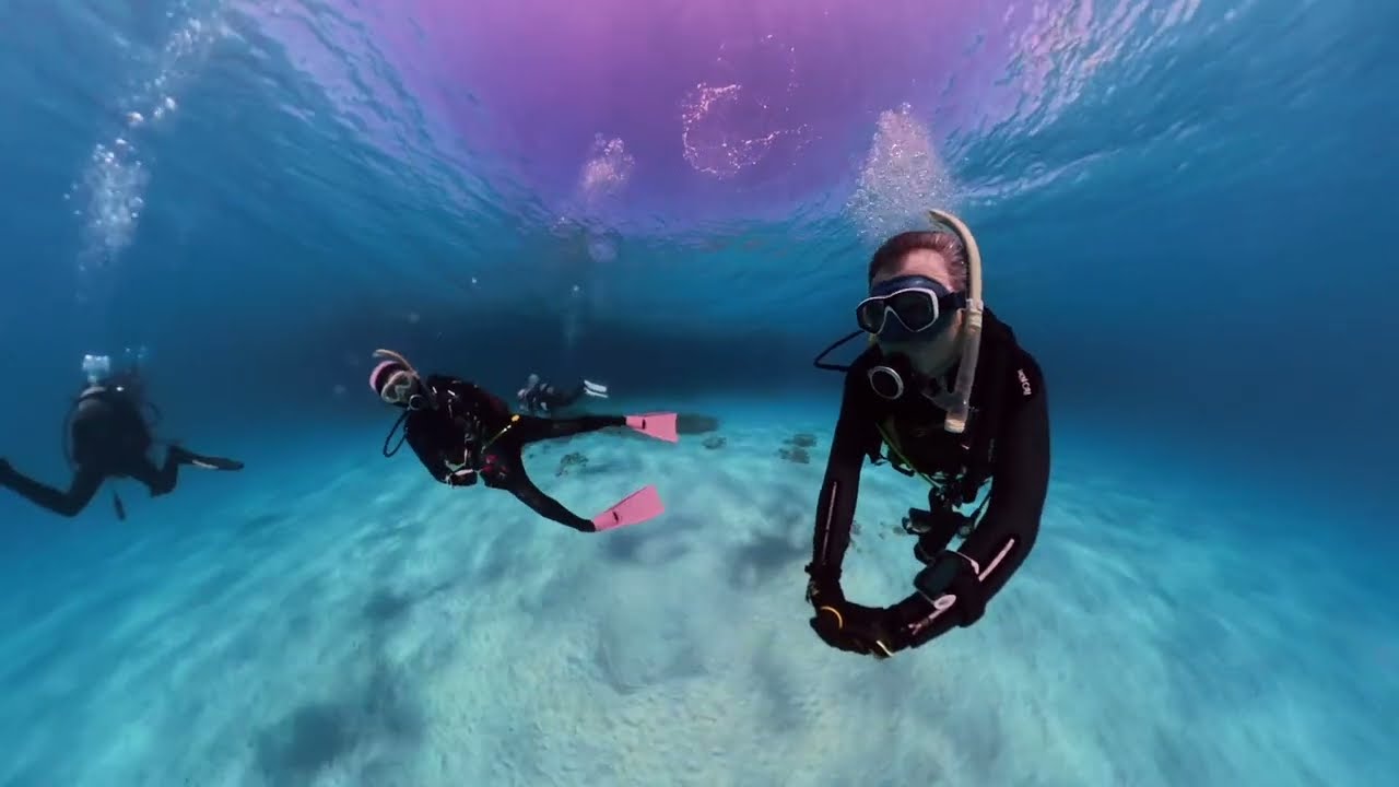 北浜 白砂に映る影 座間味ダイビング Insta360X5 - YouTube