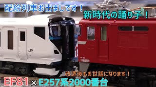 「模型」改造後もお世話になります！E257系配給です！！