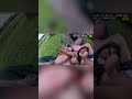 Cops DRAG Man Through Car Window During Shocking Arrest 😳 #Bodycam #Police #Shorts