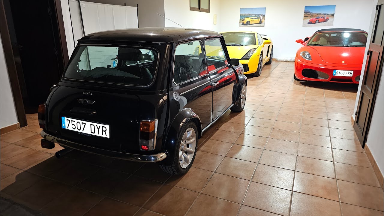 Garage Update - Lots has changed! - Vlog 175