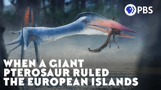 When a Giant Pterosaur Ruled the European Islands