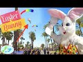 Easter Bunny Skydiving into Massive Egg Hunt | Theekholms