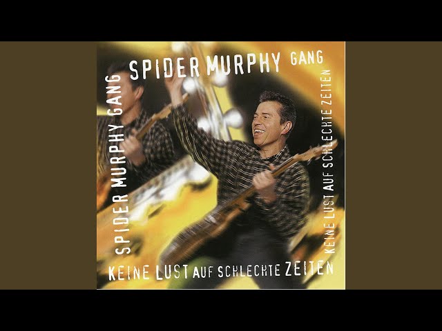 SPIDER MURPHY GANG - SO BIST DU
