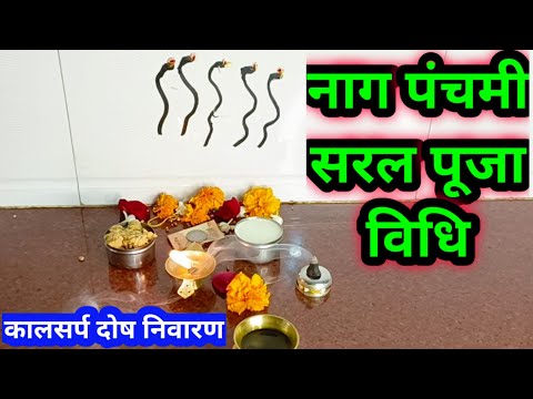 नाग पंचमी की सरल पूजा विधि/nag panchmi Puja vidhi 2022...