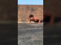 Aa #gym #viral #shorts #sport #viralvideo #hardwork #workout #short #tips #viralvideo
