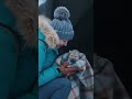 Woman Saves Frozen Wolf & Baby 😭🐺❄️ #animals #youtubeshorts