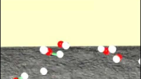 Reactors - Catalysts