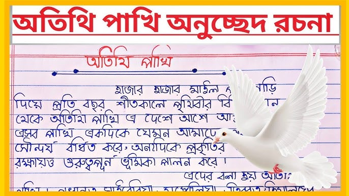 nv sifatli sogish ru