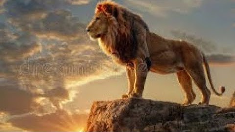 VIRAL OPERATION RISING LION OF COURAGE & TRUMP CYRUS
