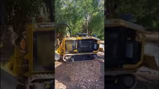 2020 RAYCO RG165T-R For Sale