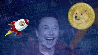 elon loves dogecoin
