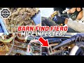 Barn Find Mice Infested Car Interior Detailing Restoration Fiero GT FIRST WASH In 30 Years Part 2
