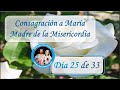 Reflexión y Oraciones - Día 25 de 33 - Consagración a María Madre de la Misericordia