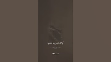 من سورة الحجرات-عبدالفتاح الشعشاعي