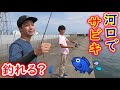 漁港で釣れないので河口でサビキ釣りしてみた【茨城県久慈川河口】
