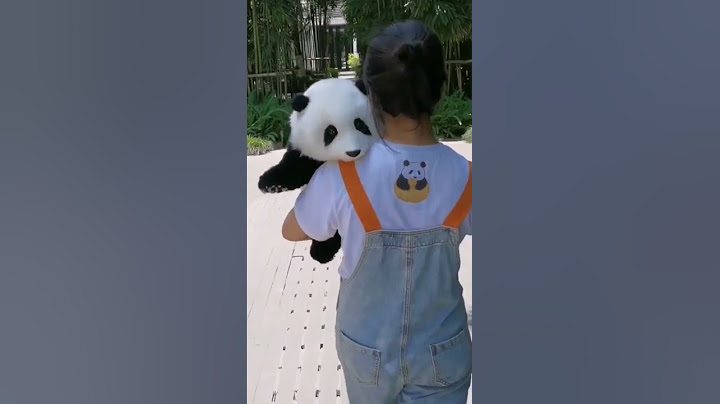 KÜÇÜK PANDA