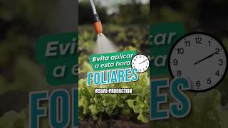 NO HAGAS ESTO A TUS CULTIVOS ❌🌱#foliar #viral #agro #shorts #paris #no #cultivation #cultivos #riego