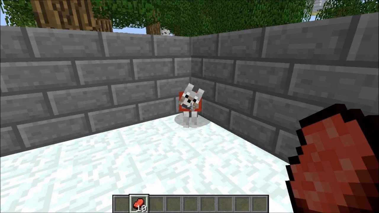 Lucas Queiroz - Como fazer filhotes de Lobo no Minecraft - YouTube