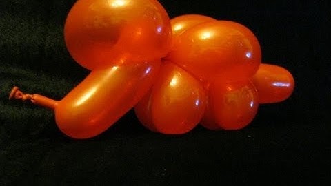 How to make a Dinosaur Protoceratops/Triceratops with one 260 Balloon.