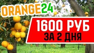 Download lagu ОБЗОР НОВОГО ПРОЕКТА ORANGE 24 FARM 1600 РУБЛЕЙ ЗА 2 ДНЯ ОБЗОР НОВОГО ПРОЕКТА ORANGE 24 FARM 1600 РУБЛЕЙ ЗА 2 ДНЯ