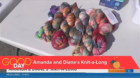 Amanda & Diane's Knit-a-Long: The art of yarn dyei...