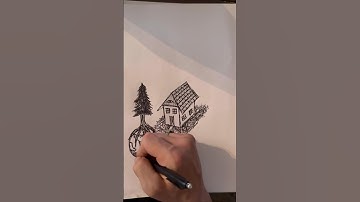 Quick Draw Magic: Ballpoint Pen Sketch Timelapse | #art #shorts #sketching