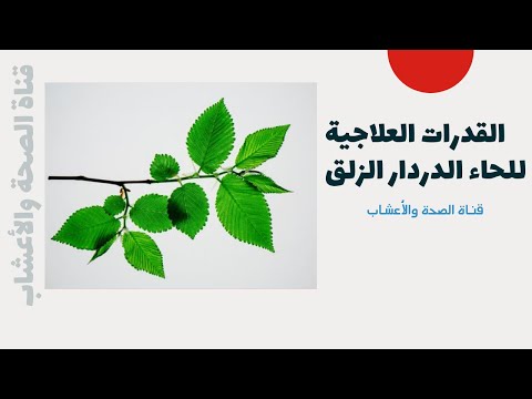 تصویری: اولموس روبرا برای چه استفاده می شود؟