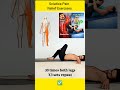 🔥Sciatica Pain Relief🔥 | Best Sciatica Exercises for Fast Relief 💪 | Sciatica Nerve Pain Treatment