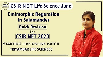 𝗘𝗽𝗶𝗺𝗼𝗿𝗽𝗵𝗶𝗰 𝗥𝗲𝗴𝗲𝗻𝗲𝗿𝗮𝘁𝗶𝗼𝗻 𝗶𝗻 𝗦𝗮𝗹𝗮𝗺𝗮𝗻𝗱𝗲𝗿: 𝗤𝘂𝗶𝗰𝗸 𝗥𝗲𝘃𝗶𝘀𝗶𝗼𝗻 𝗳𝗼𝗿 𝗖𝗦𝗜𝗥 𝗡𝗘𝗧 𝗗𝗲𝗰 𝟮𝟬𝟭𝟵