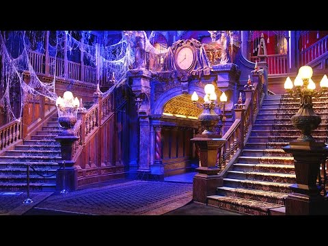 Видео: Как связаться с Lost and Found at W alt Disney World
