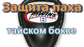 Защита паха.  Ракушка для защиты паха в тайском боксе