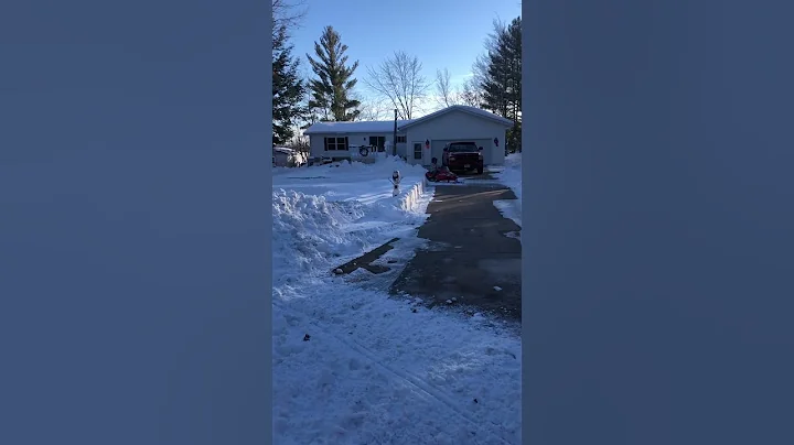 Wyatt and Delilah on their snowmobile!