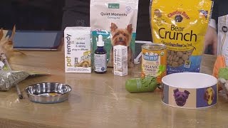 Tips On Bringing Home A New Pet